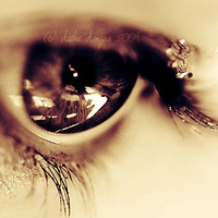 Looking for My Cinderella.85ţţԱϣMM