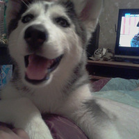 ����Ҫ�����㣡����