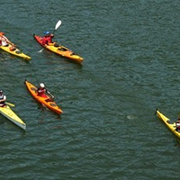 ǧ��������Ƥ��ͧ���ֲ�