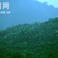 ���߰����������ݰ���Խ��Խ��