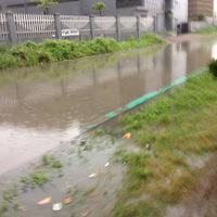 ���ű�������