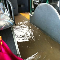 �����������ţ�÷�꼾�� ��������̩̹��˺���������