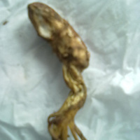 ��æ��������ʲô���