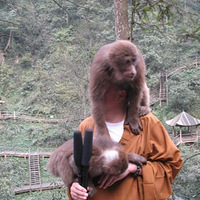 ��λ�������