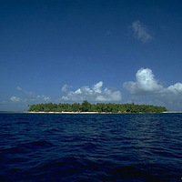 ��ɫ���⡪���ͷ׺���