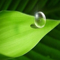 ������︴�գ�����ˮ�鴿����Ͼ�ľ���˲��