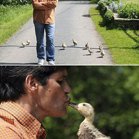 ��Щ�ϴ�����ĳ����ȡ�����