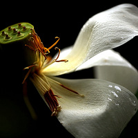 ��΢��~~~~~�ɻ���