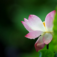 ������������� ��Ҳ������Ӱ~