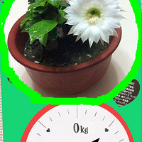 �Ҽҵ��������ֿ�����