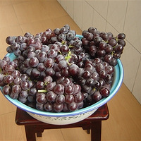 ͼĲï ζѾ