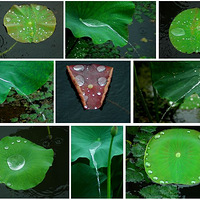 ������С�������̡�