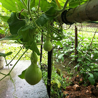 ��«�޺�«��