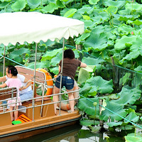 �۾�Ů����ס�֣�