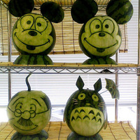 �������ϵ�ר��..