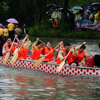 �Ͻ���ͶƱ��ѡ������Ϊ��˧�������