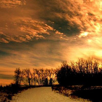 �������նȣ���Ӱ����