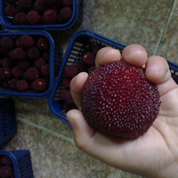 �����о��ֲ������ӡ�����Ҳ����ס��÷���ջ�