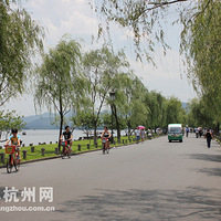 37�ȵĸ��� �ο����鲻��