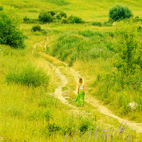 ���յķҷ���Ψ������֮��