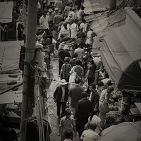 ��������----���������о���Ƭ������ 