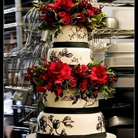 ��˵������Ӧ�������������ĵ���