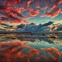 �����Ķ���������ɫ