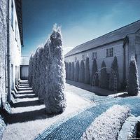 �����Ӱ��˪���ڿ���