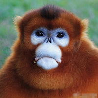 ����˵������ʲô������Ҫ�ˡ�����