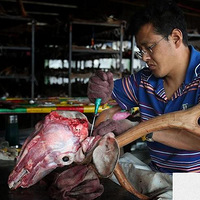 Ѫȣ룡ʵĶ̸¹ֳ Ϊ˽ǮŰ¹ ò