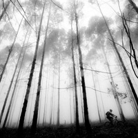 ���ҵ���������Ƭ �������Ķ�