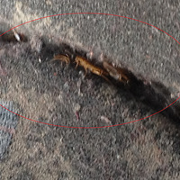 69·����λ�Ͼ�Ȼ��Сǿ��