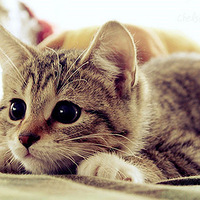 Ҫ���ȣ�����ͫ~~