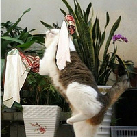 ��������Ҳ��ǹ��~~����