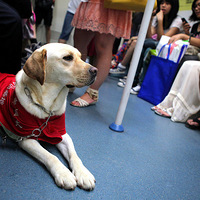 ���ڵ���ӭ����ֻ��äȮ��ʷŬ�ȡ�