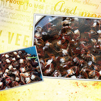 [19¥���о��ֲ�������]+����С��Ϻ