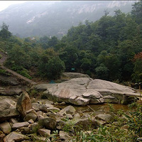 ��ɽ�ŵ��������Ժ�ɫ�ŵ��ķ��