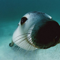 ̽Ѱ���ع���ĺ�������