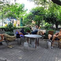 �����µ�����