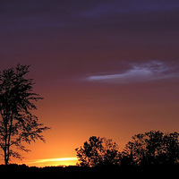 ���� �ճ� ̫�� ���� ҹ�� �ƻ�