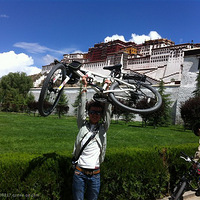 �����߹�����������Ƭ����