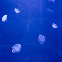 �����а�����ƻ����԰������̽Ӫ��������ͼ�����ʣ�