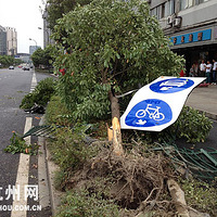 Ϊ����С�� ������ײ������ͼ��