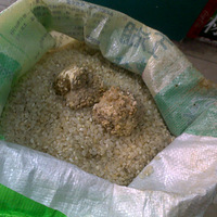 ŷгдصףʲôҰæһ¡