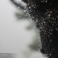 �����ܶ�Ա������+��ɽ֮��