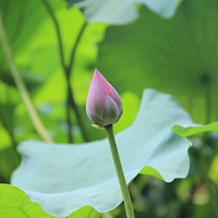 ��������������