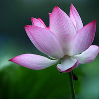 ����ɳ��