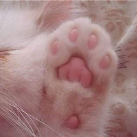 ���Ǽ������졢�������򿨡���2012��10��