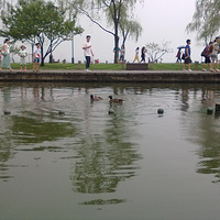 �����ͺ�