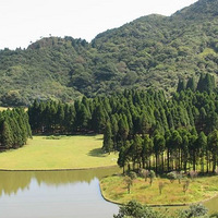 ����ɽɭ�ֹ�԰_���ĵ�һ��